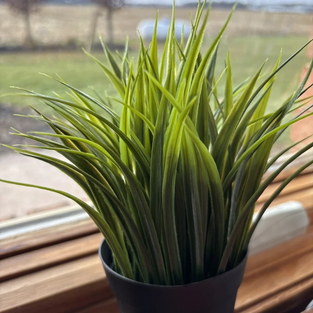 Ikea‎ Fejka Artificial Potted Plant Indoor/Outdoor Grass 3 ½